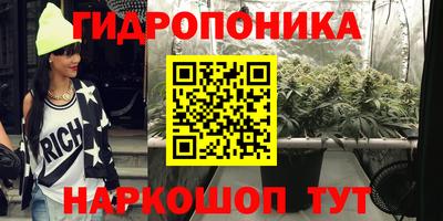 спиды Кимры
