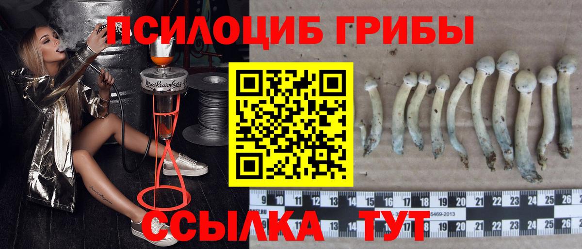 Галлюциногенные грибы MAGIC MUSHROOMS Карталы