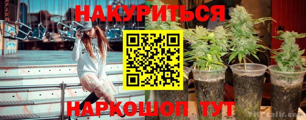 Конопля OG Kush  Бошки марихуана Ganja  Карталы  Вход с VPN 